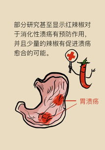 吃辣会影响肠胃吸收吗
