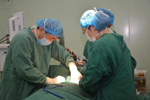 甲状腺癌手术选择头颈外科手术还是乳甲外科比较好