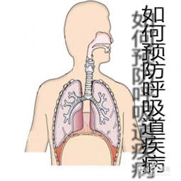 呼吸道疾病预防方法