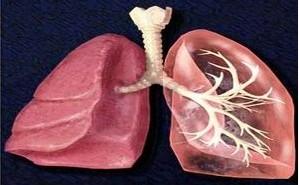 慢性阻塞性肺疾病的治疗目标不包括