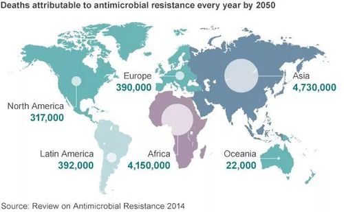 抗生素抗药性怎么办