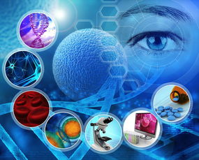 干细胞技术治疗近视