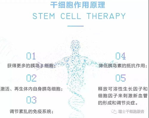 干细胞疗法的原理
