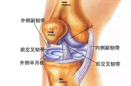 膝关节退变护理措施