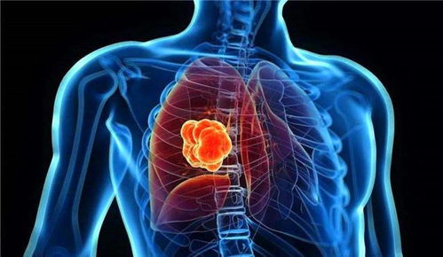 肝脏移植的病人最多能存活多久