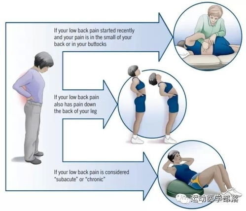 腰痛的日常护理及康复指导
