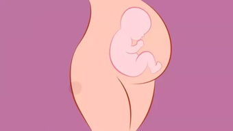 雄激素过多影响怀孕吗
