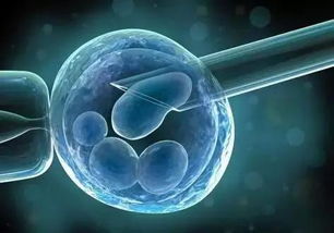 干细胞技术治疗卵巢早衰效果好不好