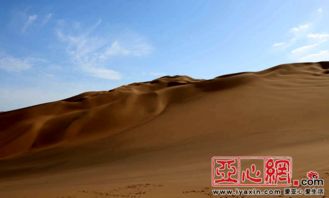 沙疗体验分享沙漠中的奇迹，治愈身心的良方！
