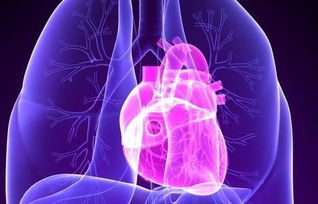 心脏瓣膜病有什么忌口吗