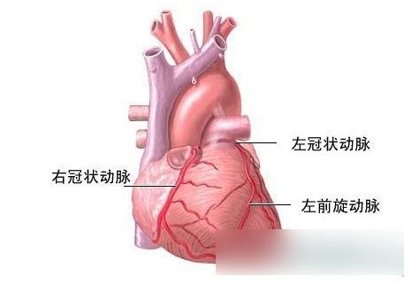 心脏搭桥手术对今后生活的影响大吗