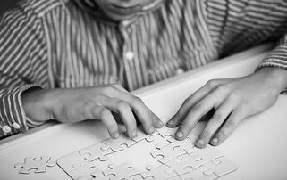 儿童自闭症的诊断与照护 江苏科技出版社
