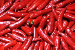 吃辣椒会影响肠胃吸收吗
