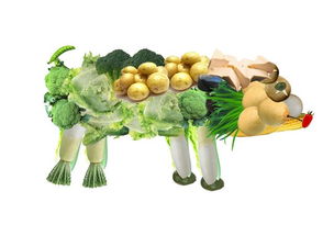 素食主义者应该如何补充蛋白质