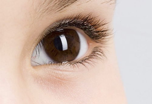 眼部新生血管治疗方法